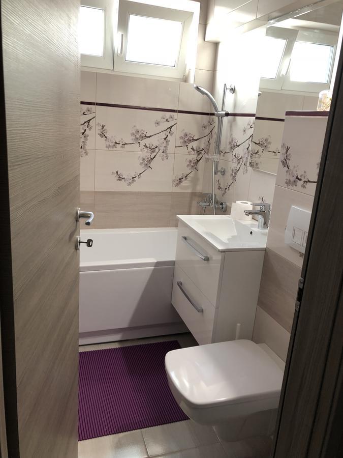 Apartament Diego 康斯坦察 外观 照片